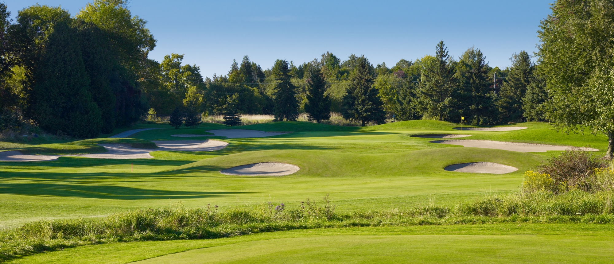 Golf Memberships at Royal Ashburn Golf Club